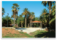 Λαύριο: πάρκο Φοινικόδασος